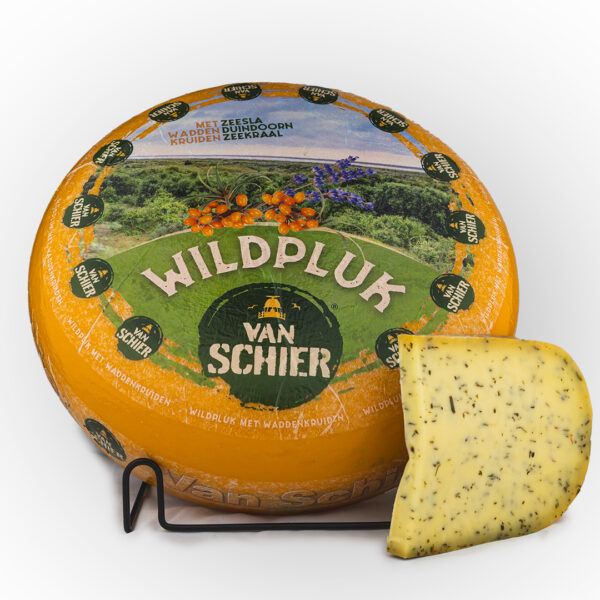 Kaas van Schier (Duindoorn, Zeesla, Zeekraal)